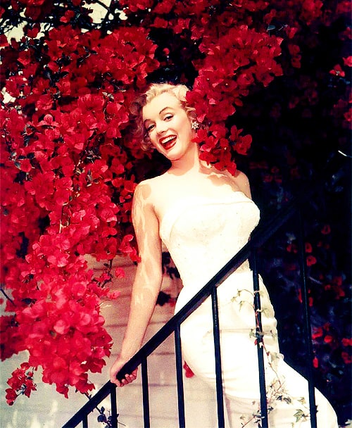 Marilyn Monroe