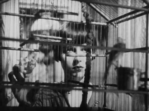 Louise Brooks Louise Brooks
