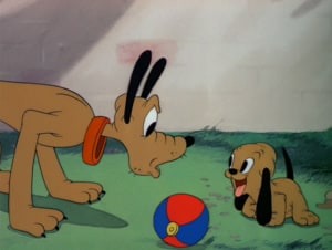 Pluto Junior Pluto Junior
