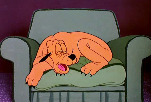 Cat Nap Pluto