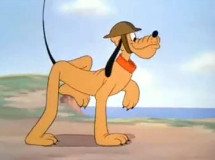 Private Pluto Private Pluto