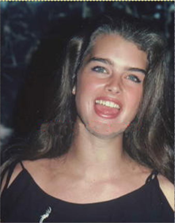 Brooke Shields