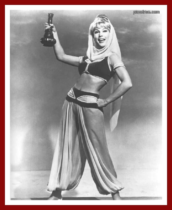 Barbara Eden Barbara Eden