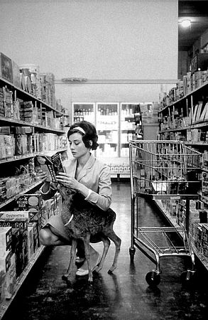 Audrey Hepburn Audrey Hepburn