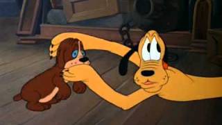 The Purloined Pup