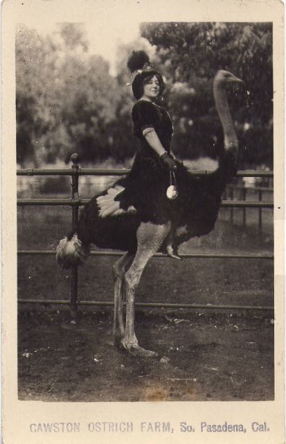 Anna Held Anna Held