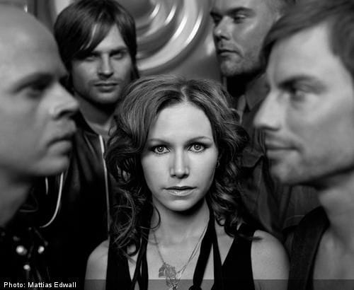 The Cardigans