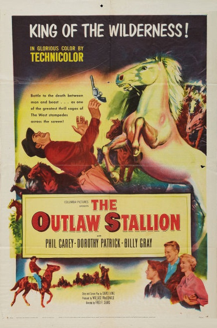 The Outlaw Stallion