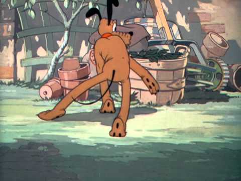 Pluto's Quin-Puplets Pluto's Quin-Puplets