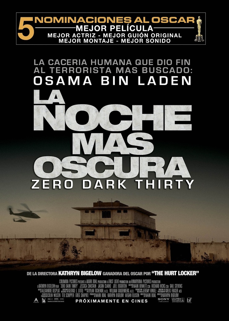 Zero Dark Thirty