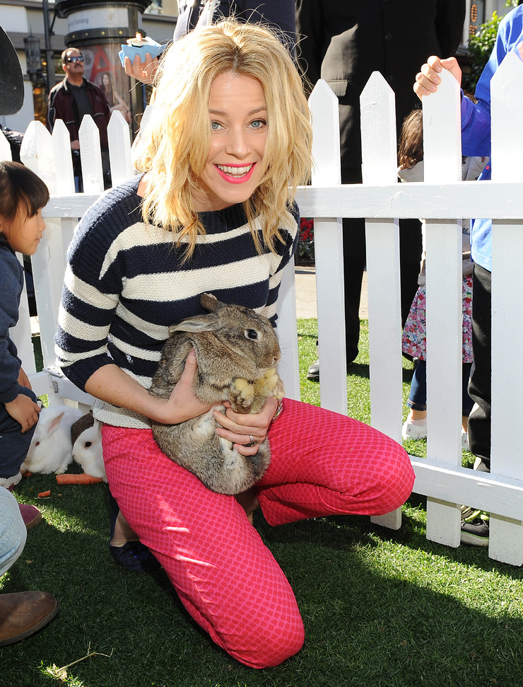 Elizabeth Banks