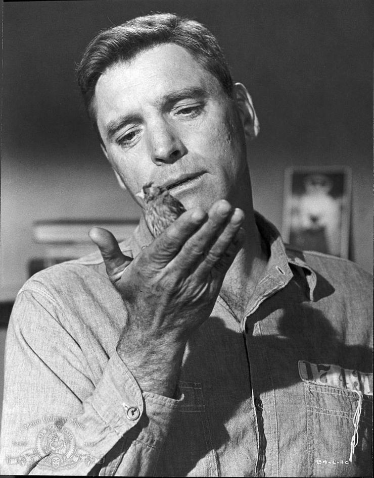Birdman of Alcatraz Birdman of Alcatraz