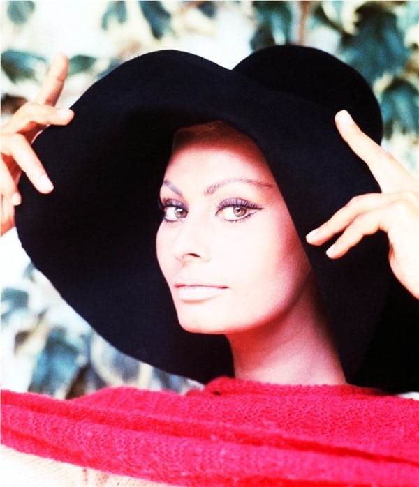 Picture of Sophia Loren