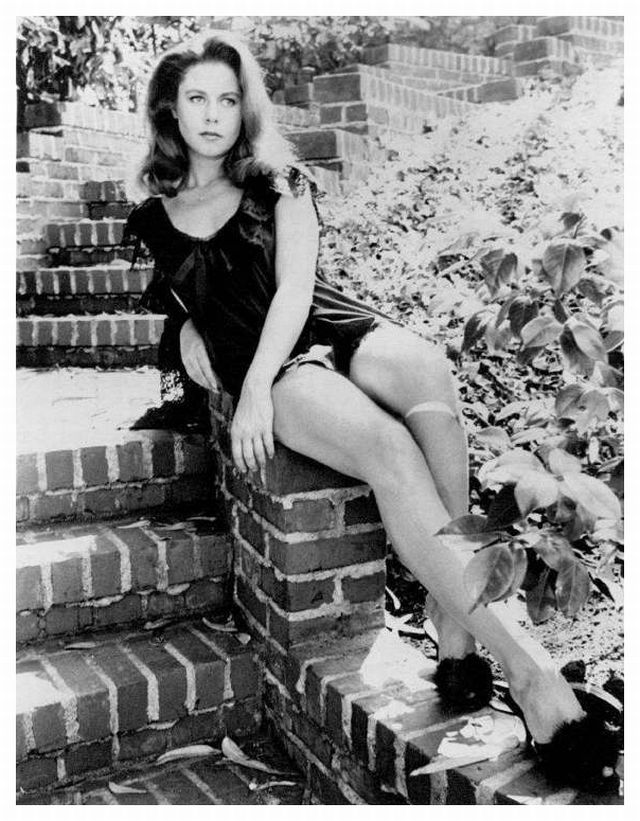 Elizabeth Montgomery Elizabeth Montgomery