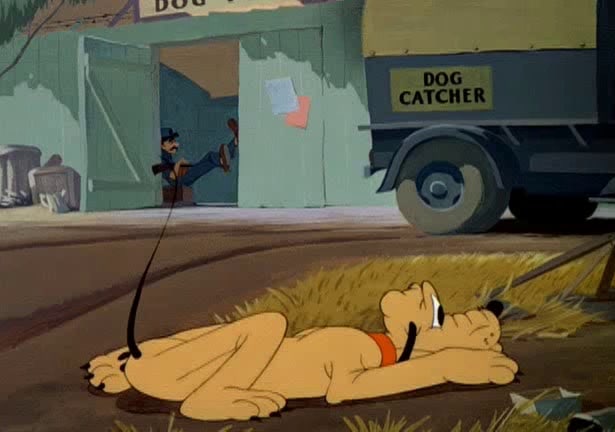Canine Casanova Canine Casanova