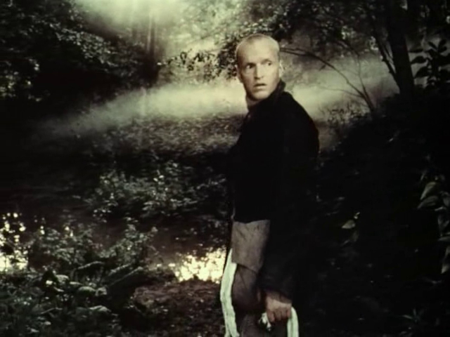 Stalker (1979)