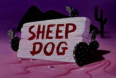 Sheep Dog Sheep Dog
