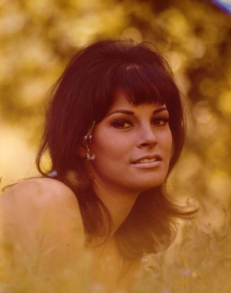 Picture Of Raquel Welch 