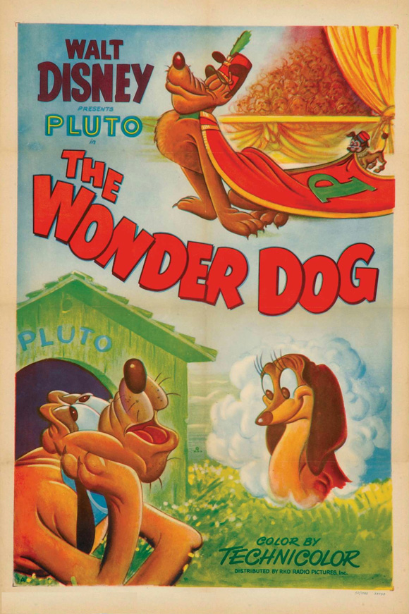 Wonder Dog Wonder Dog
