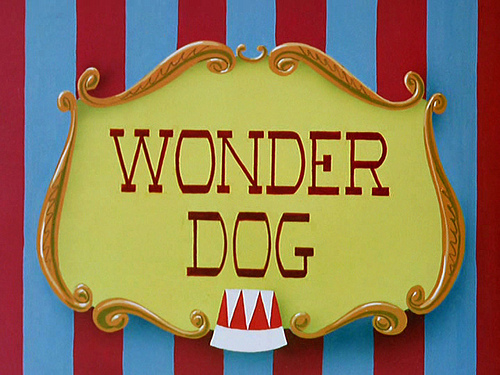 Wonder Dog