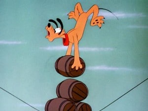 Wonder Dog Wonder Dog