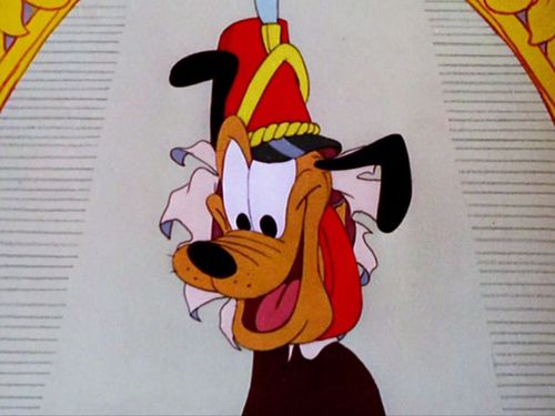 Wonder Dog Wonder Dog