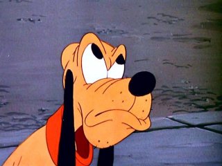 Wonder Dog Wonder Dog