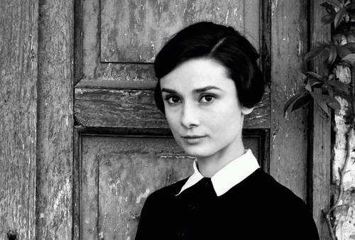 Audrey Hepburn Audrey Hepburn