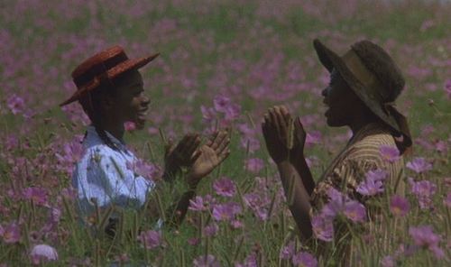 The Color Purple