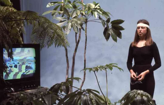 The Secret Life of Plants