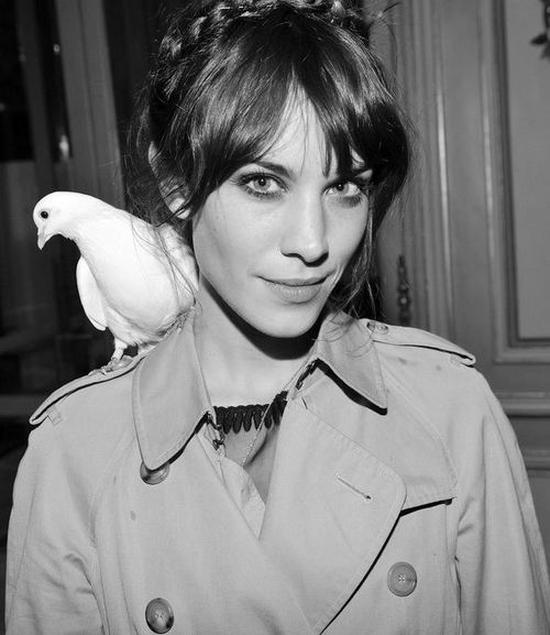 Alexa Chung Alexa Chung