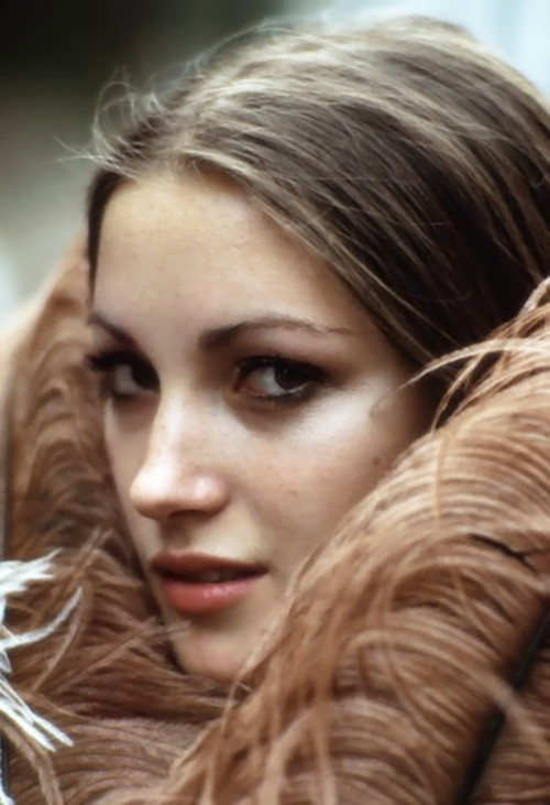 Jane Seymour Jane Seymour