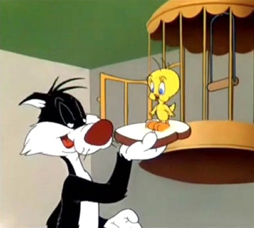 The Sylvester & Tweety Show picture