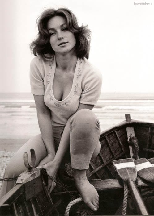 Shirley Ann Field Shirley Ann Field
