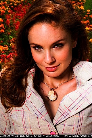 Sarah Wayne Callies