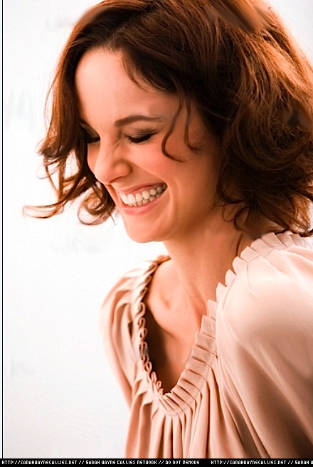 Sarah Wayne Callies