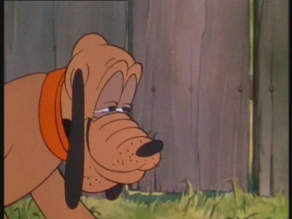 Mother Pluto Mother Pluto