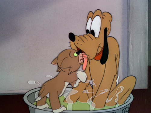 Lend a Paw Lend a Paw