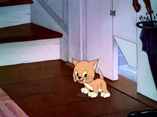 Lend a Paw Lend a Paw