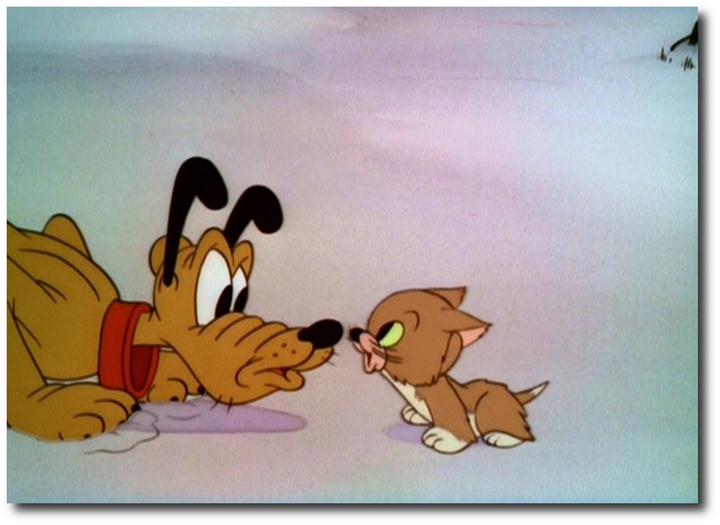 Lend a Paw Lend a Paw