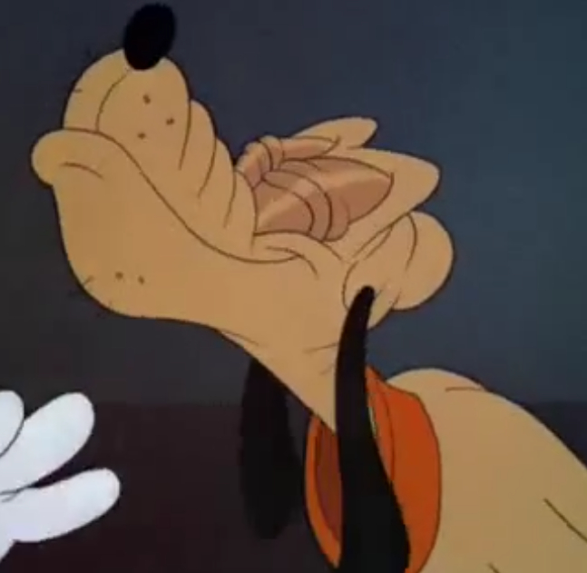 Lend a Paw Lend a Paw