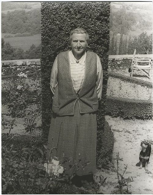 Gertrude Stein Gertrude Stein