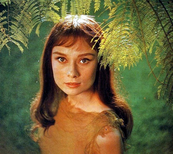 Audrey Hepburn Audrey Hepburn