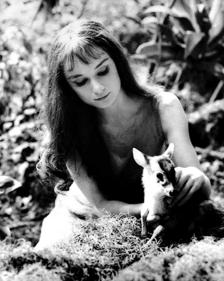 Audrey Hepburn Audrey Hepburn