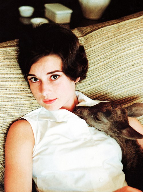 Audrey Hepburn Audrey Hepburn