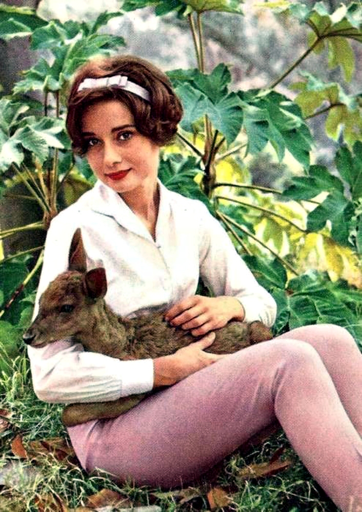 Audrey Hepburn Audrey Hepburn