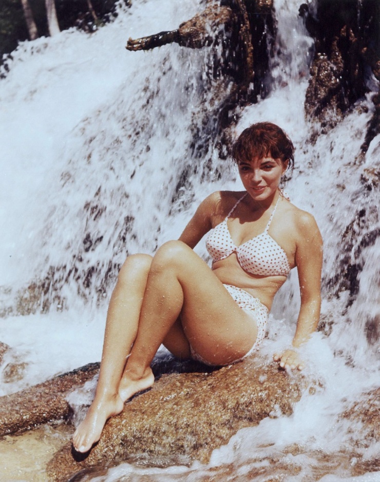 Joan Collins Joan Collins