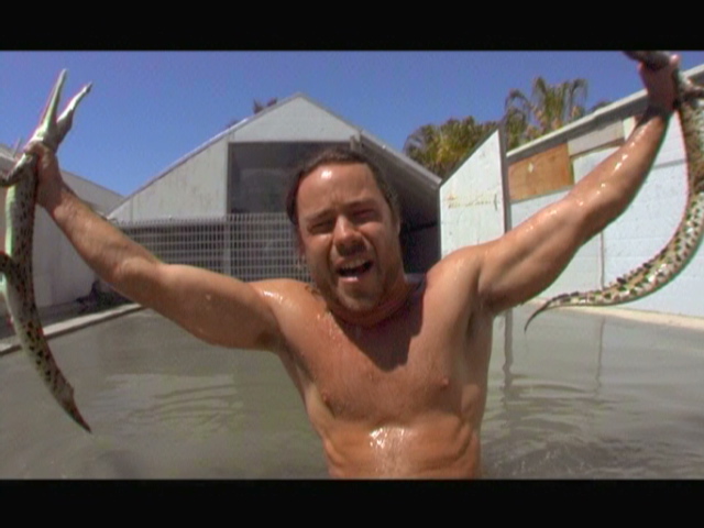 Chris Pontius
