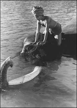 Elephant Boy