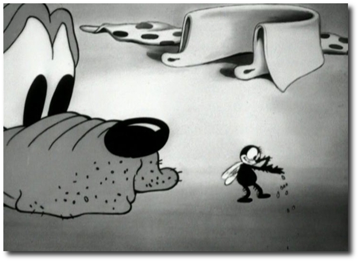 Playful Pluto Playful Pluto